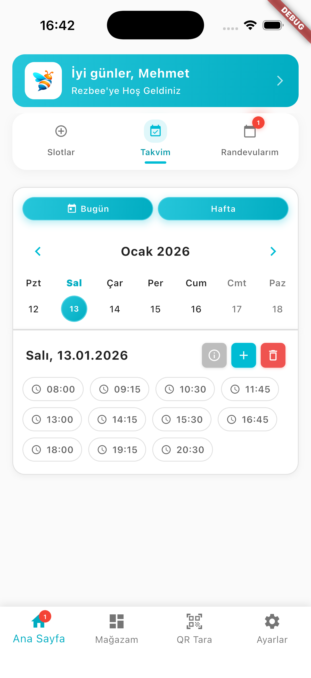 Rezbee Provider Home Screen